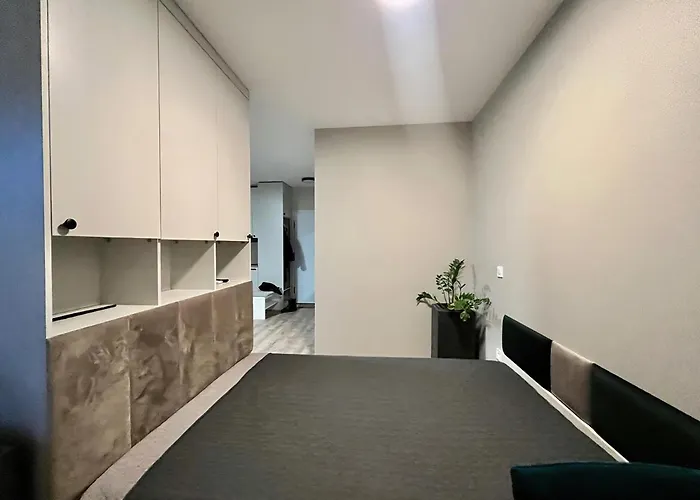 Milionowa 8 Z Garazem I Klimatyzacja Blisko Piotrkowskiej Apartment Łódź