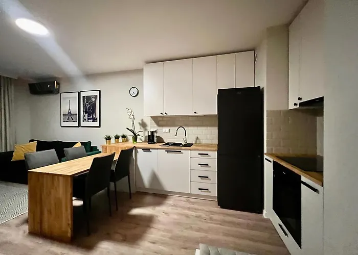 Milionowa 8 Z Garazem I Klimatyzacja Blisko Piotrkowskiej Apartamento *