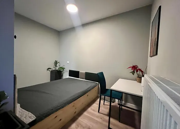 Milionowa 8 Z Garazem I Klimatyzacja Blisko Piotrkowskiej Apartment *